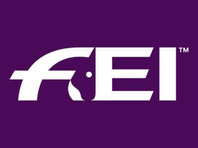 FEI-logo